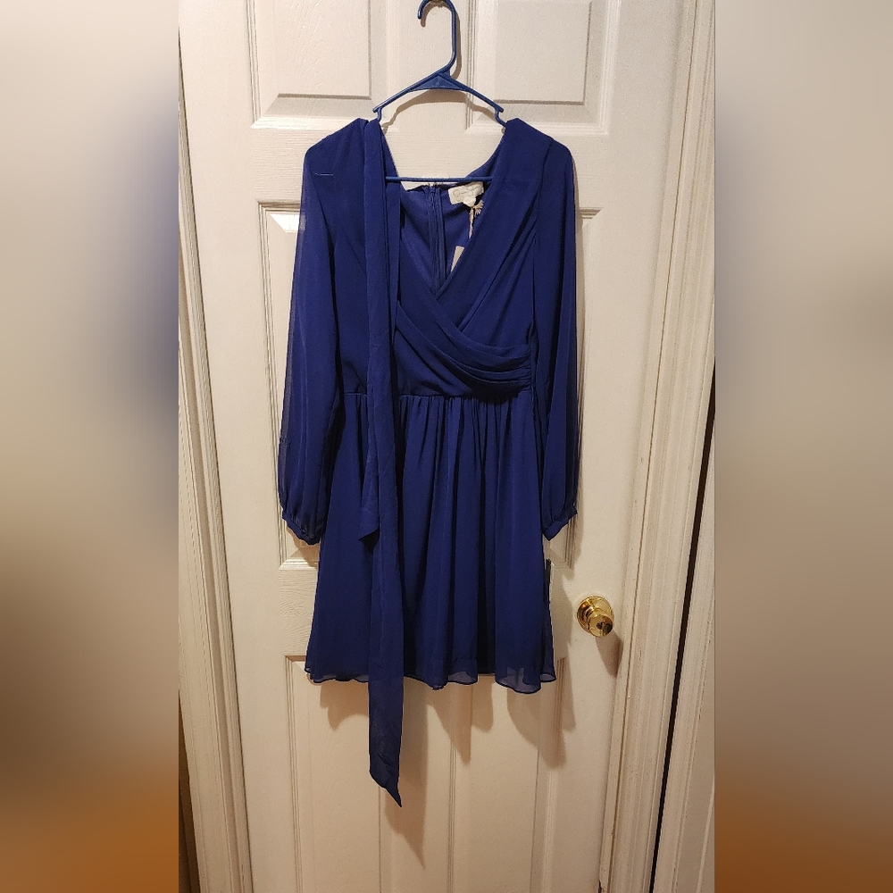 Blue clinched waist dress